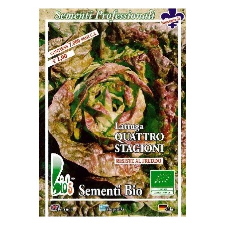 lechuga cuatro estaciones - semillas ecolÃ³gicas