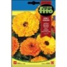 calendula doble variada