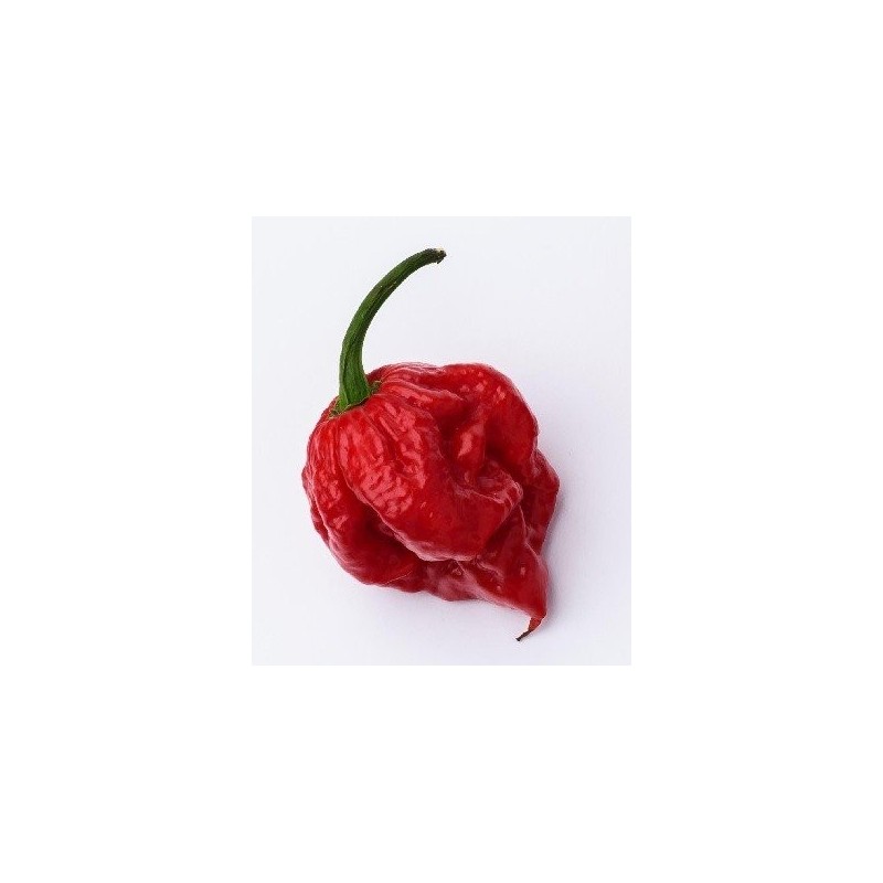 pimiento Carolina reaper