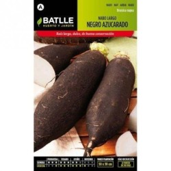 nabo negro largo azucarado