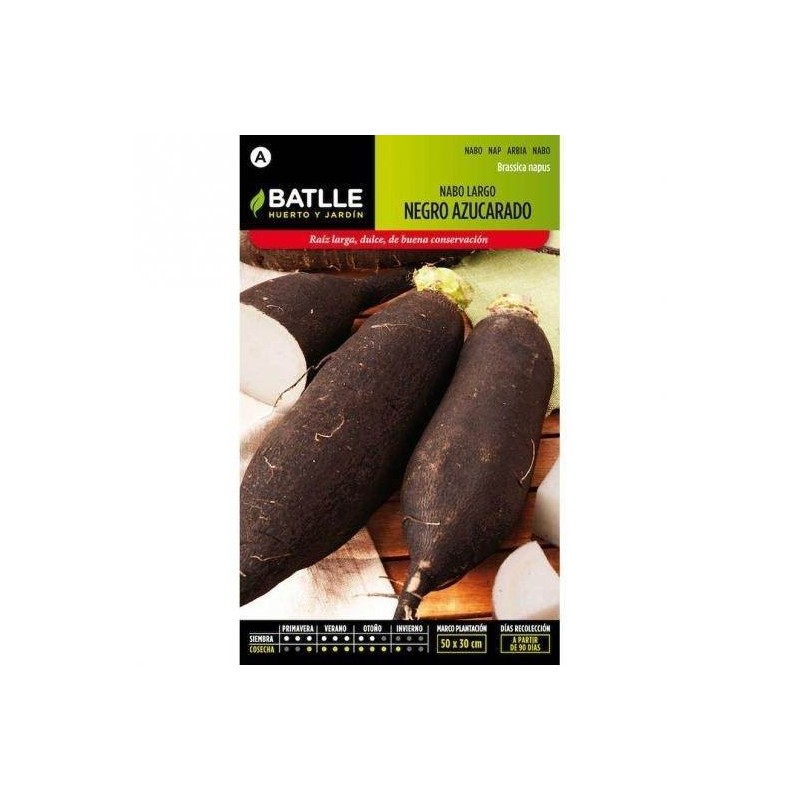 nabo negro largo azucarado