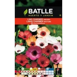 Lino charmer variado