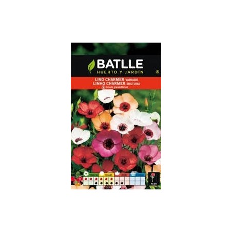 Lino charmer variado