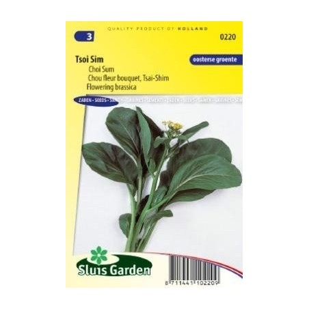 Tsoi Sim / Choi Sum