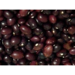 semillas de alubia carico montaÃ±es