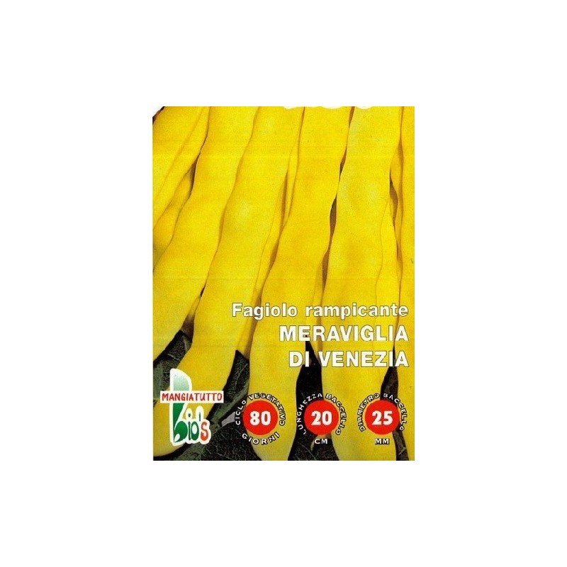 judia amarilla maravilla de Venecia (semillas ecolÃ³gicas)