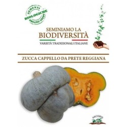 calabaza cappello da prete  (semillas ecolÃ³gicas)