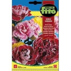 clavel chino doble variado