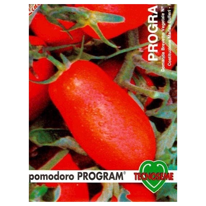 tomate hypeel 244 (program) semillas ecolÃ³gicas