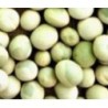 guisante para germinados (semillas ecolÃ³gicas)