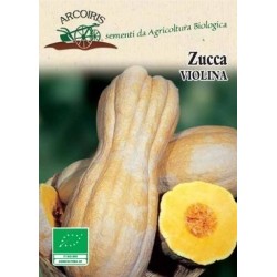 calabaza violina - semillas ecolÃ³gicas