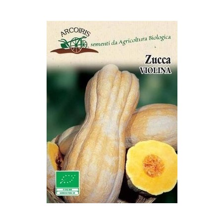calabaza violina - semillas ecolÃ³gicas