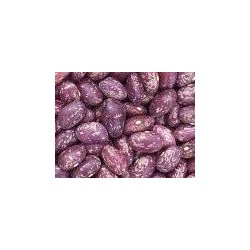 alubia tolosana redonda-palmeÃ±a