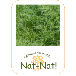 Mostaza golden frills