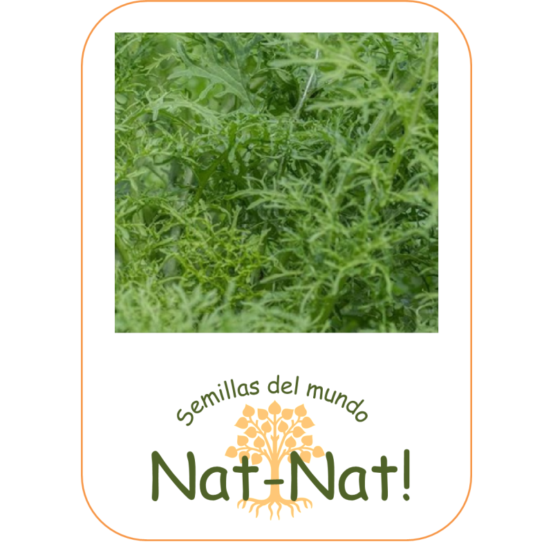 Mostaza golden frills