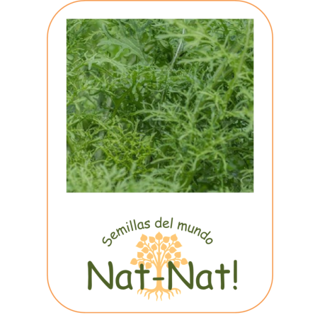 Mostaza golden frills