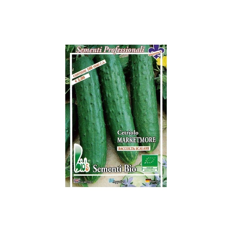 pepino marketmore (semillas ecolÃ³gicas bioseme)