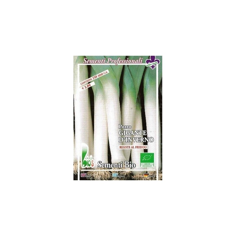 puerro gigante de invierno - semillas ecolÃ³gicas
