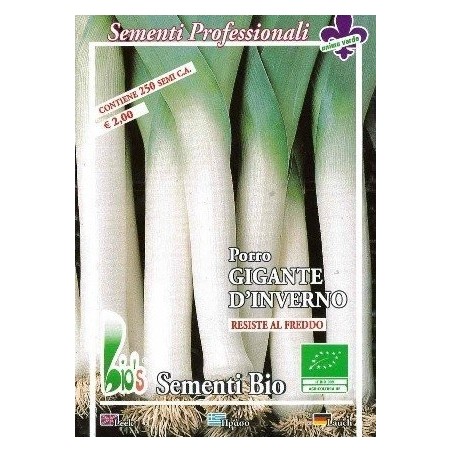 puerro gigante de invierno - semillas ecolÃ³gicas