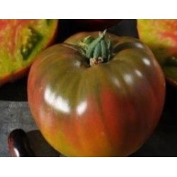 tomate ananas noire (semillas ecolÃ³gicas)