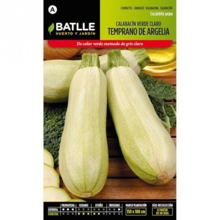 calabacin temprano de Argelia