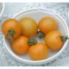 tomate tangella (semillas ecolÃ³gicas)