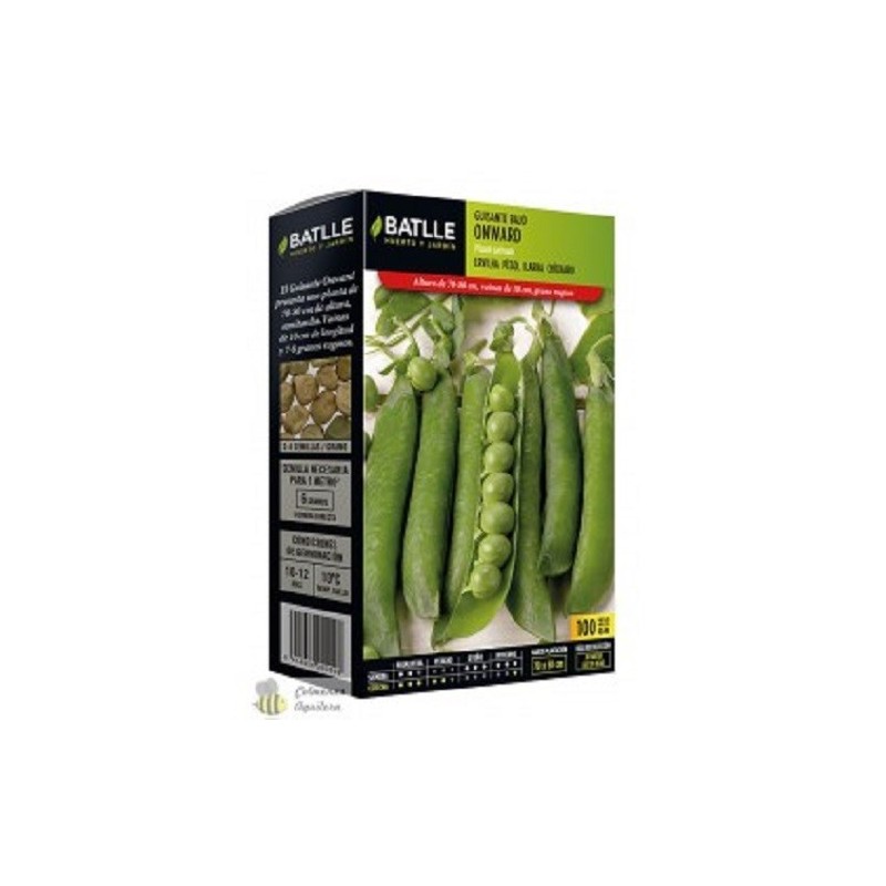 guisante enano onward