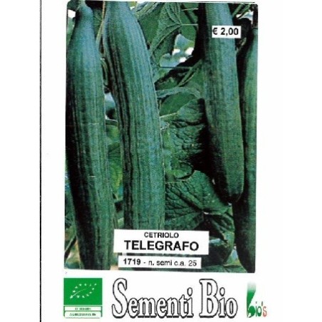 pepino telegrafo (semillasa ecolÃ³gicas)