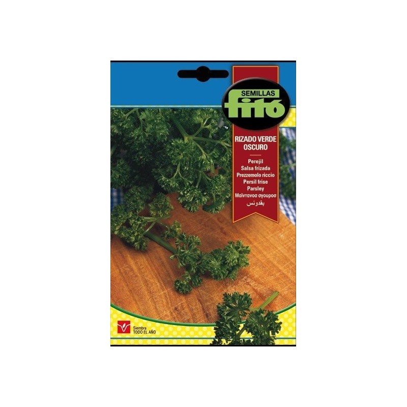 perejil rizado