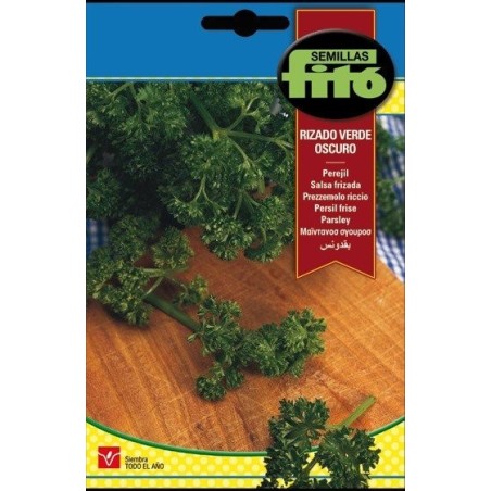 perejil rizado