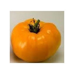 semillas de tomate Nebraska