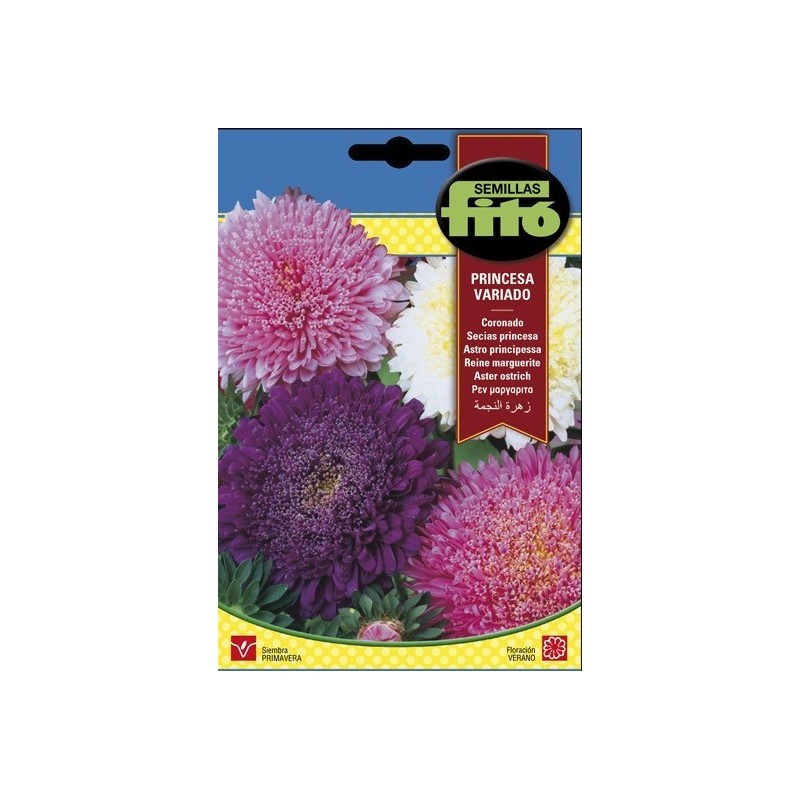 coronado princesa variado