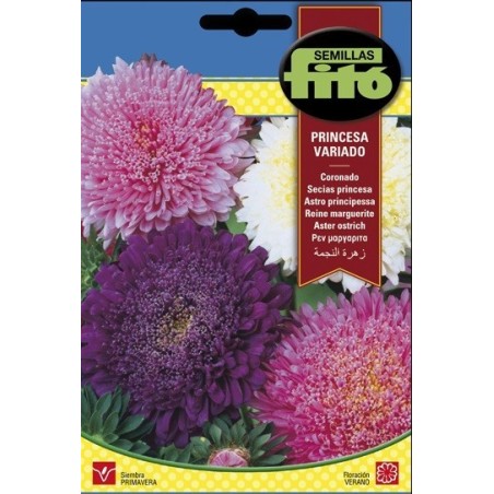 coronado princesa variado