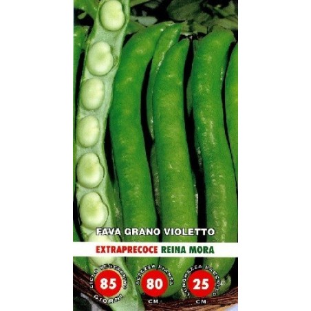 haba reina mora - semillas ecolÃ³gicas