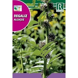 regaliz