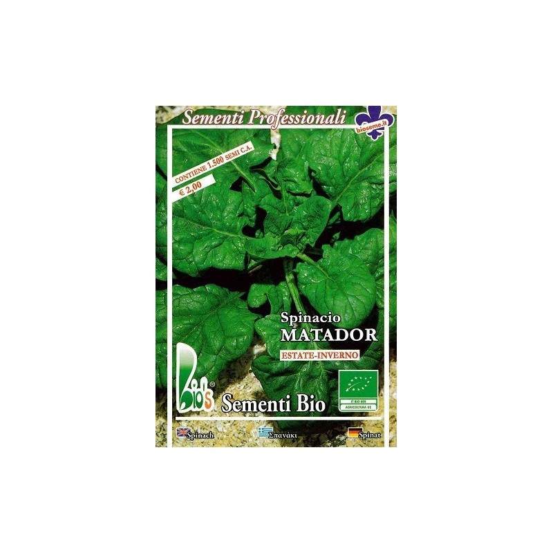 espinaca matador - semillas ecologicas