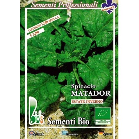 espinaca matador - semillas ecologicas