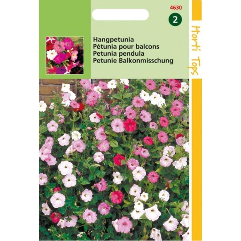 petunia pÃ©ndula mezcla