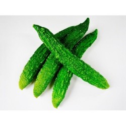 pera de bÃ¡lsamo - sopropo (Momordica charantia)