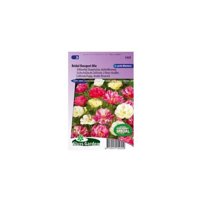 Amapola de California ramo de novia mix (Eschscholzia californica)