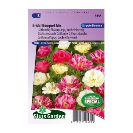 Amapola de California ramo de novia mix (Eschscholzia californica)