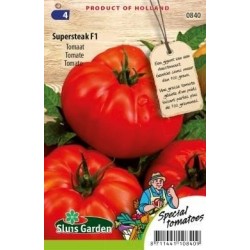 tomate Supersteak F1