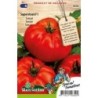 tomate Supersteak F1