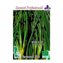 barrilla (salsola soda) - semillas ecolÃ³gicas