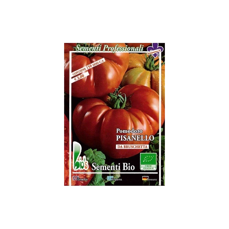 costoluto fiorentino (Pisanello de Bruschetta) semillas ecologicas