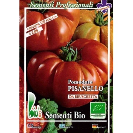 costoluto fiorentino (Pisanello de Bruschetta) semillas ecologicas