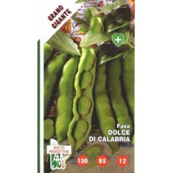haba dulce de Calabria - semillas ecologicas
