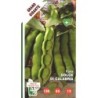 haba dulce de Calabria - semillas ecologicas