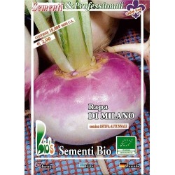 nabo de mesa rojo de MilÃ¡n (semillas ecolÃ³gicas)