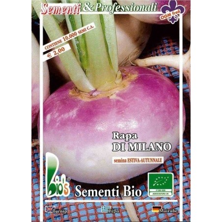 nabo de mesa rojo de MilÃ¡n (semillas ecolÃ³gicas)